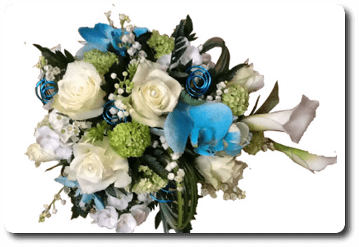 Rose blanche immaculée réhaussée d'orchidée bleu électrique