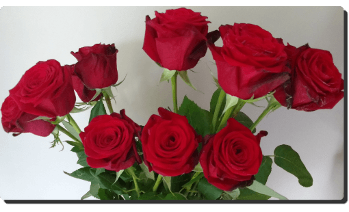 Bouquets de Roses Rouge