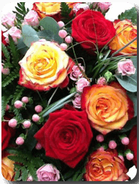 Assortiment de roses