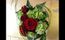 De somptueuses Roses rouges glamour bloties dans le vert d'un hydrangea
