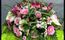 Un hommage floral avec une composition florale aérienne de fleurs et de végétaux