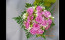 Composition Mariage - Le bouquet de la mariée