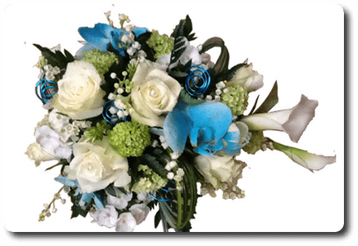 Bouquet coloré Rose blanche immaculée réhaussée d'orchidée bleu électrique