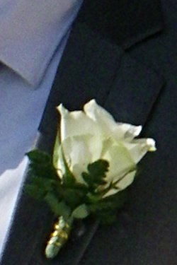 Homme moderne, boutonnière d'une rose naturelle