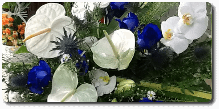 L'orchidée reine de beauté du monde végétal Fleuron d'orchidée sur un lit de feuillage