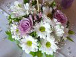 Conseil sur le choix de fleurs pour balcon exposé plein soleil