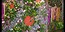 floralies 2014